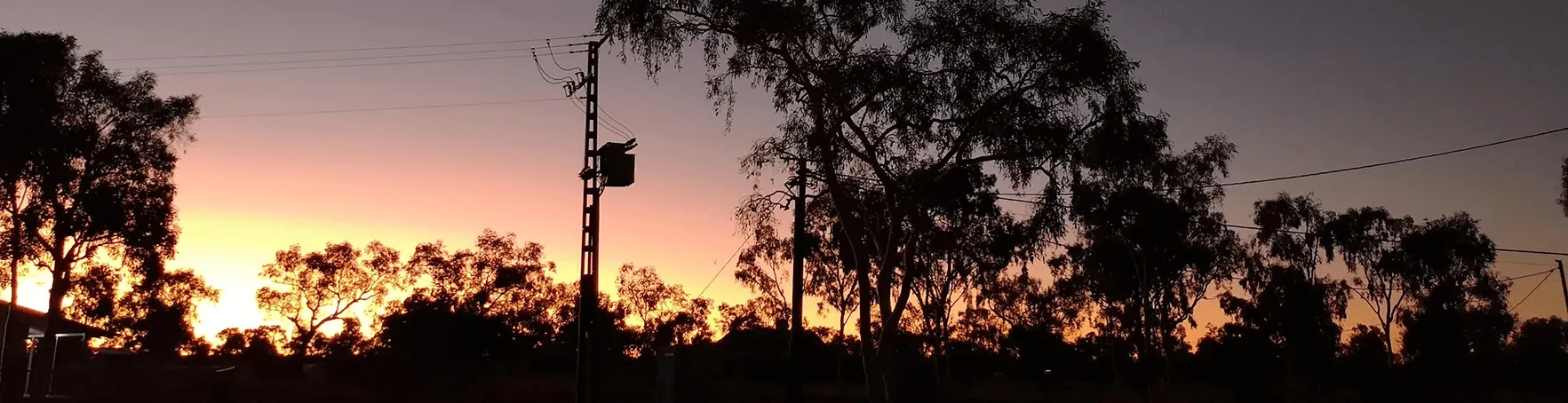 Dusk over the Utopia homelands: eucalypts and powerlines silhouetted against an orange sky